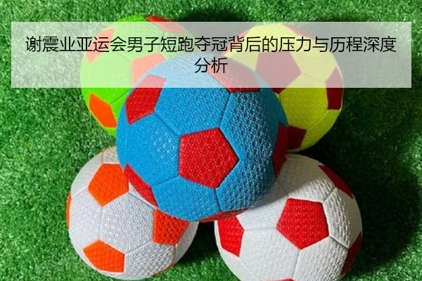 谢震业亚运会男子短跑夺冠背后的压力与历程深度分析